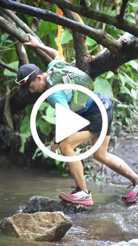 BIB:  <button type="button" onclick="openModal(27804556)" class="btn btn-primary btn-sm float-right" data-toggle="modal" data-target=".modal-high-quality">
                <i class="fa fa-download"></i> Download
                </button>